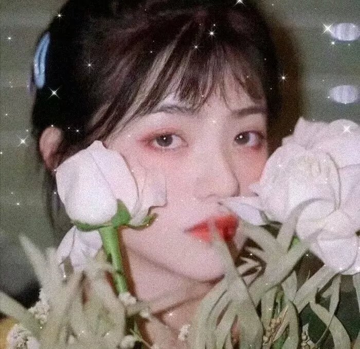 风愿